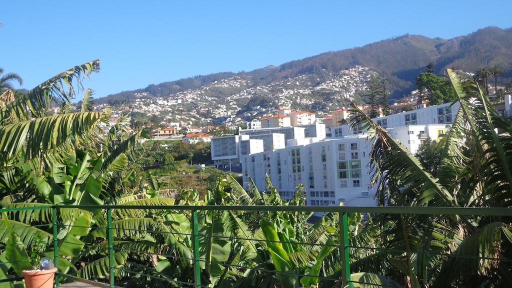 Cantinho Das Bananas Villa Funchal  Camera foto